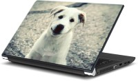 ezyPRNT Just Say Awwoo Pet Animal (15 to 15.6 inch) Vinyl Laptop Decal 15   Laptop Accessories  (ezyPRNT)