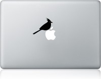 Clublaptop Sticker Kingfisher Bird 15 inch Vinyl Laptop Decal 15   Laptop Accessories  (Clublaptop)