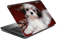 meSleep Dog LS-57-220 Vinyl Laptop Decal 15.6   Laptop Accessories  (meSleep)