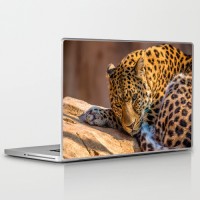 Theskinmantra Tiger Calm PolyCot Vinyl Laptop Decal 15.6   Laptop Accessories  (Theskinmantra)