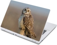 ezyPRNT Lonely Owl (13 to 13.9 inch) Vinyl Laptop Decal 13   Laptop Accessories  (ezyPRNT)