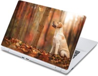 ezyPRNT Dog looks at leaf Pet Animal (13 to 13.9 inch) Vinyl Laptop Decal 13   Laptop Accessories  (ezyPRNT)