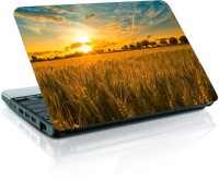 Shopmania MULTICOLOR-430 Vinyl Laptop Decal 15.6   Laptop Accessories  (Shopmania)
