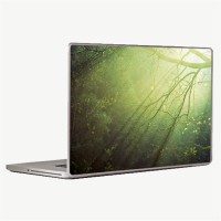 Theskinmantra Rays Laptop Decal 14.1   Laptop Accessories  (Theskinmantra)