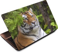 View Anweshas Tiger T103 Vinyl Laptop Decal 15.6 Laptop Accessories Price Online(Anweshas)