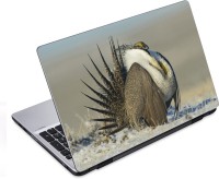 ezyPRNT The Vulture (14 to 14.9 inch) Vinyl Laptop Decal 14   Laptop Accessories  (ezyPRNT)
