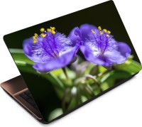 Finest Flower FL28 Vinyl Laptop Decal 15.6   Laptop Accessories  (Finest)