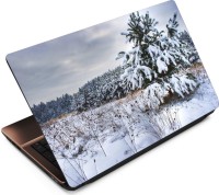 Anweshas Snow Vinyl Laptop Decal 15.6   Laptop Accessories  (Anweshas)