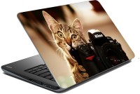 meSleep Cat 70-527 Vinyl Laptop Decal 15.6   Laptop Accessories  (meSleep)