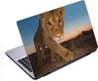 ezyPRNT Lion's Royal Steps Wildlife (14 to 14.9 inch) Vinyl Laptop Decal 14   Laptop Accessories  (ezyPRNT)