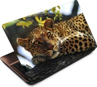 Anweshas Leopard LP057 Vinyl Laptop Decal 15.6   Laptop Accessories  (Anweshas)