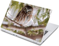 ezyPRNT The Dangerous Owl (13 to 13.9 inch) Vinyl Laptop Decal 13   Laptop Accessories  (ezyPRNT)