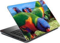 meSleep Parrot 67-262 Vinyl Laptop Decal 15.6   Laptop Accessories  (meSleep)