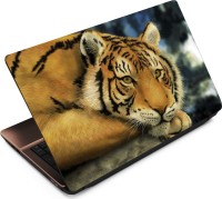 Anweshas Tiger T054 Vinyl Laptop Decal 15.6   Laptop Accessories  (Anweshas)