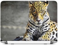 FineArts Leopard Vinyl Laptop Decal 15.6   Laptop Accessories  (FineArts)