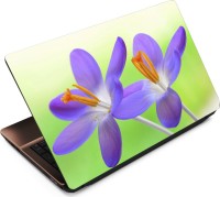 View Finest Flower FL47 Vinyl Laptop Decal 15.6 Laptop Accessories Price Online(Finest)