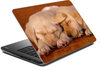 meSleep Dog LS-57-210 Vinyl Laptop Decal 15.6   Laptop Accessories  (meSleep)