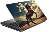 meSleep Horse 70-085 Vinyl Laptop Decal 15.6   Laptop Accessories  (meSleep)