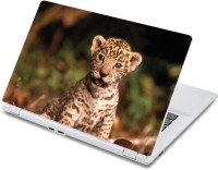 ezyPRNT Cute Baby Panther Wildlife (13 to 13.9 inch) Vinyl Laptop Decal 13   Laptop Accessories  (ezyPRNT)