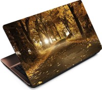 Anweshas Autumn Vinyl Laptop Decal 15.6   Laptop Accessories  (Anweshas)