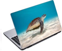 ezyPRNT Sea Turtle (14 to 14.9 inch) Vinyl Laptop Decal 14   Laptop Accessories  (ezyPRNT)