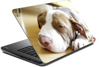 meSleep Dog LS-57-211 Vinyl Laptop Decal 15.6   Laptop Accessories  (meSleep)