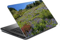 meSleep Nature LS-31-399 Vinyl Laptop Decal 15.6   Laptop Accessories  (meSleep)