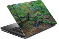 meSleep Nature LS-49-297 Vinyl Laptop Decal 15.6   Laptop Accessories  (meSleep)