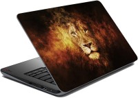 meSleep Lion LS-23-55 Vinyl Laptop Decal 15.6   Laptop Accessories  (meSleep)