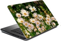 meSleep Nature LS-46-055 Vinyl Laptop Decal 15.6   Laptop Accessories  (meSleep)