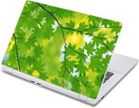 ezyPRNT Green Leaves Tree (13 to 13.9 inch) Vinyl Laptop Decal 13   Laptop Accessories  (ezyPRNT)