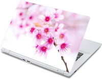 ezyPRNT Beautiful White Pink Flower (13 to 13.9 inch) Vinyl Laptop Decal 13   Laptop Accessories  (ezyPRNT)