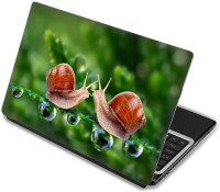 Shopmania Snail Vinyl Laptop Decal 15.6   Laptop Accessories  (Shopmania)