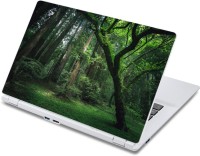 ezyPRNT The Rain Forest (13 to 13.9 inch) Vinyl Laptop Decal 13   Laptop Accessories  (ezyPRNT)