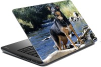 meSleep Dog LS-57-004 Vinyl Laptop Decal 15.6   Laptop Accessories  (meSleep)