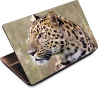 Anweshas Leopard LP033 Vinyl Laptop Decal 15.6   Laptop Accessories  (Anweshas)