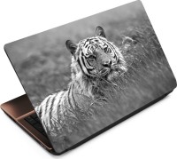 Anweshas Tiger T071 Vinyl Laptop Decal 15.6   Laptop Accessories  (Anweshas)