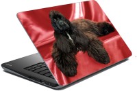 meSleep Dog LS-57-035 Vinyl Laptop Decal 15.6   Laptop Accessories  (meSleep)