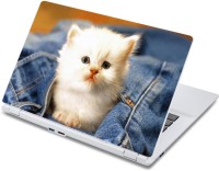 ezyPRNT White Cat Close up (13 to 13.9 inch) Vinyl Laptop Decal 13   Laptop Accessories  (ezyPRNT)