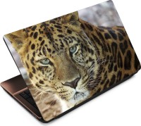 Anweshas Leopard LP064 Vinyl Laptop Decal 15.6   Laptop Accessories  (Anweshas)
