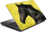 meSleep Horse 70-246 Vinyl Laptop Decal 15.6   Laptop Accessories  (meSleep)
