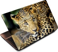 Anweshas Leopard LP044 Vinyl Laptop Decal 15.6   Laptop Accessories  (Anweshas)