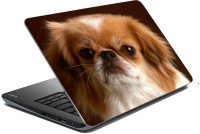 meSleep Dog LS-57-164 Vinyl Laptop Decal 15.6   Laptop Accessories  (meSleep)