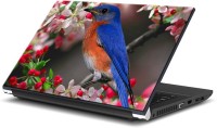 ezyPRNT Humming Bird (15 to 15.6 inch) Vinyl Laptop Decal 15   Laptop Accessories  (ezyPRNT)
