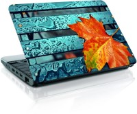 Shopmania Leaf Vinyl Laptop Decal 15.6   Laptop Accessories  (Shopmania)