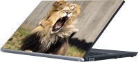 Dspbazar DSP BAZAR 8119 Vinyl Laptop Decal 15.6   Laptop Accessories  (DSPBAZAR)