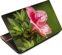 View Finest Flower FL31 Vinyl Laptop Decal 15.6 Laptop Accessories Price Online(Finest)