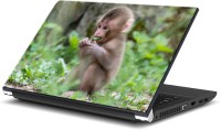 ezyPRNT Hungry Monkey (15 to 15.6 inch) Vinyl Laptop Decal 15   Laptop Accessories  (ezyPRNT)