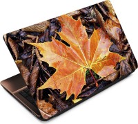 Finest Autumn ATM043 Vinyl Laptop Decal 15.6   Laptop Accessories  (Finest)