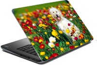 meSleep Dog LS-57-100 Vinyl Laptop Decal 15.6   Laptop Accessories  (meSleep)